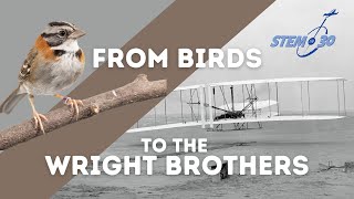 From Birds to Brothers  the Evolution of Flight