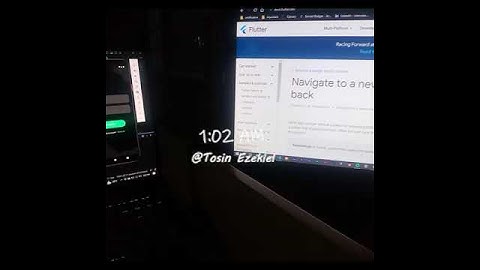 Life of a Flutter Developer