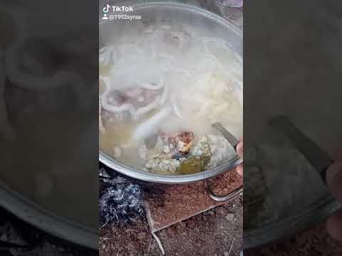 احلا اكلت سختورا هاي بل حموي بس بشامي اشياء