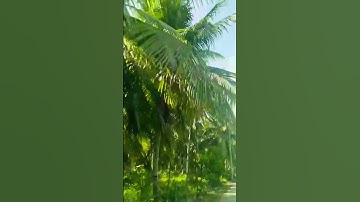 #@Ayooks123 #shortvideo #shortsvideo #shortsviral #shorts #short #shortsfeed #fyp