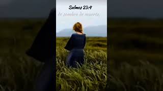 versculo versculobblico salmos 234