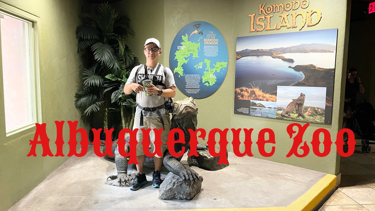 Albuquerque zoo outing Reptiles Part 2 YouTube