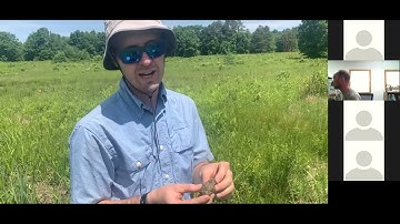 Redoximorphic features and Virtual Soil Texturing Demonstration