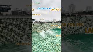 Sục Massage – Điểm Nhấn Của Hồ Bơi Đẳng Cấp