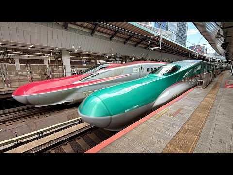 Railfanning Tokyo Station | 東京駅で撮影！E2系・E261系サフィール踊り子・E657系スーパーひたち復刻塗装（2026-07-29）