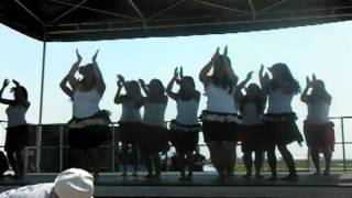 APHM Performance.avi