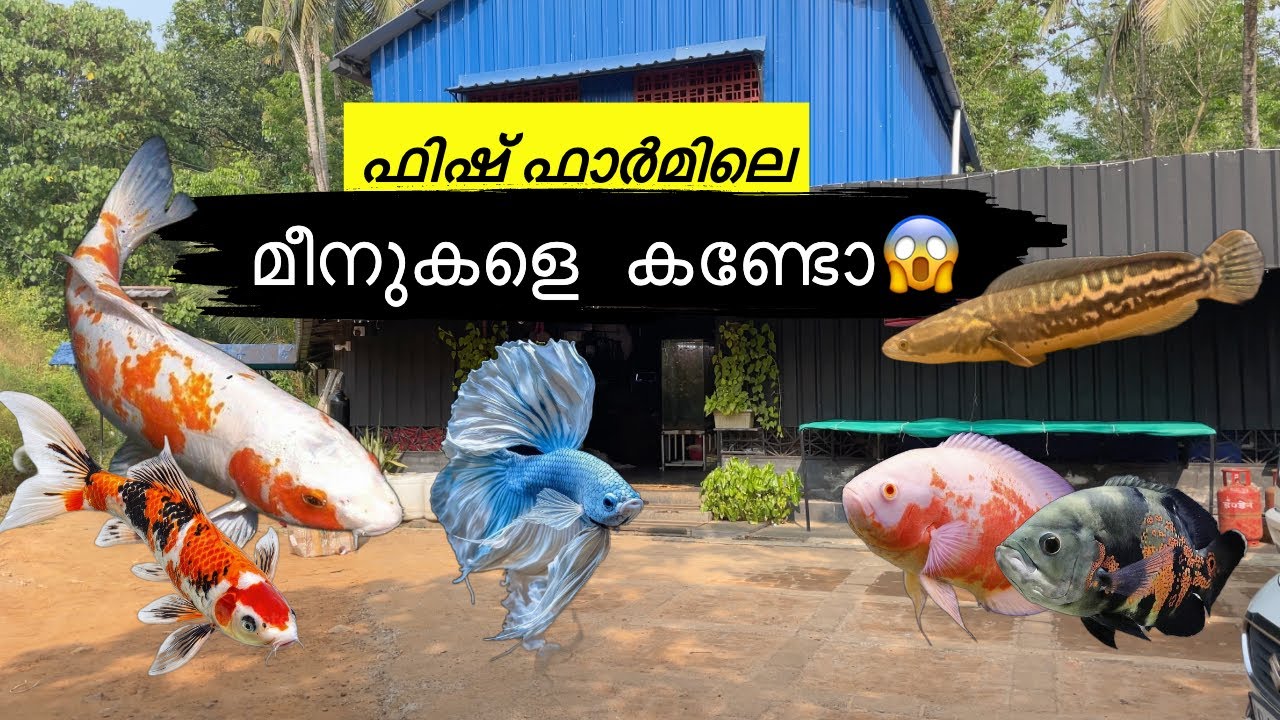 ഫിഷ് ഫാർമിൽ പോയപ്പോൾ 😱 | Fish fram Visiting