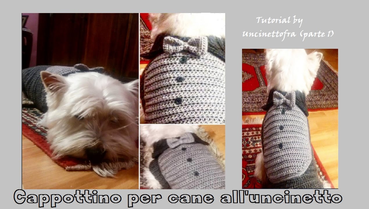 Cappotto Uncinetto Cane - Uncinetto Ideas