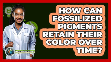 How Can Fossilized Pigments Retain Their Color Over Time? - Earth Science Answers