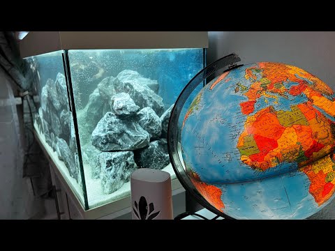 Juwel Aquarium Rio