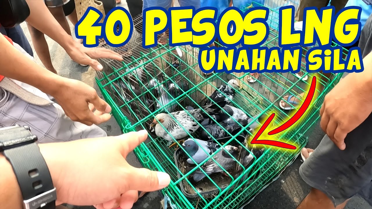 🔴MURANG BENTAHAN NG KALAPATI🔥