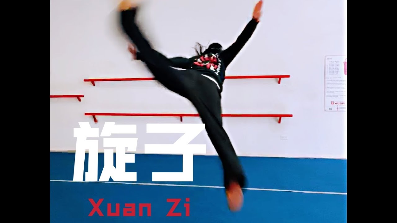 Wushu Kung Fu Día 191 Salto de 