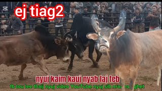 Nyuj kaim kauj nrau nyob nonghet laos 