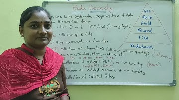 DBMS ||DBMS Hierarchy Terminology || DBMS Both in Telugu And English || Telugu Scit Tutorials