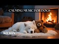 12 Hours Anti Anxiety Music for Dogs 🐶 Audiobook‑Style Narration for Comforting Calm