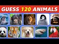 Guess 120 Animals in 3 Seconds | Easy, Medium, Hard, Impossible