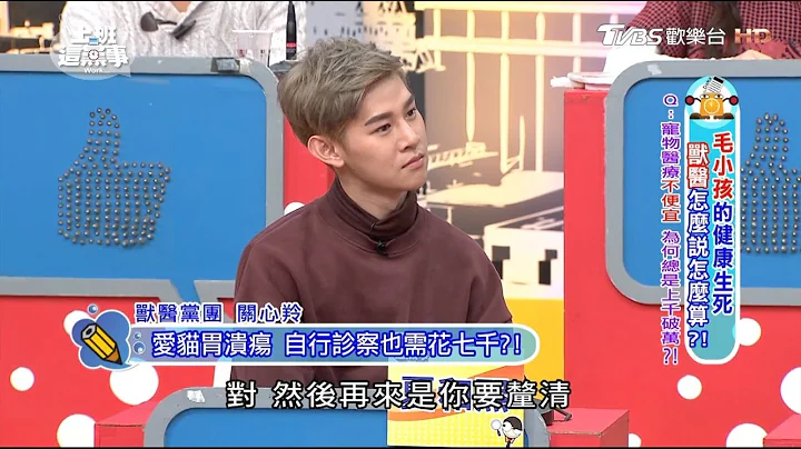 寵物醫療不便宜 請問獸醫為何總是上千破萬?! 上班這黨事 20170302 (1/4) - 天天要聞