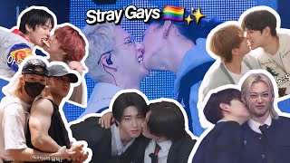 Stray Kids Provando Sua Heterosexualidade