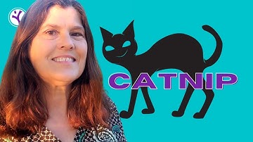 Remarkable Health Benefits of CATNIP for People