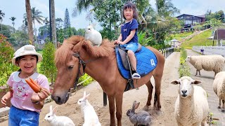 Horse Riding, Feeding Sheep, Rabbits, and Pygmy Goats - Getting to Know Animals