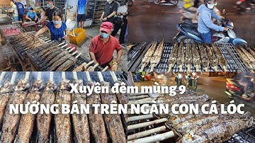 Sài Gòn tối mùng 9 Tết: Suốt đêm NƯỚNG BÁN TRÊN NGÀN CON CÁ LÓC vía Thần Tài đường Tân Kỳ Tân Quý