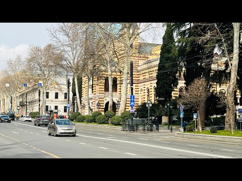 Тбилиси. Проспект Руставели. Воды Лагидзе. Прогулка 21.02.2024