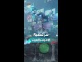 سر تسمية الإنترنت الميت سر تسمية الإنترنت الميت
