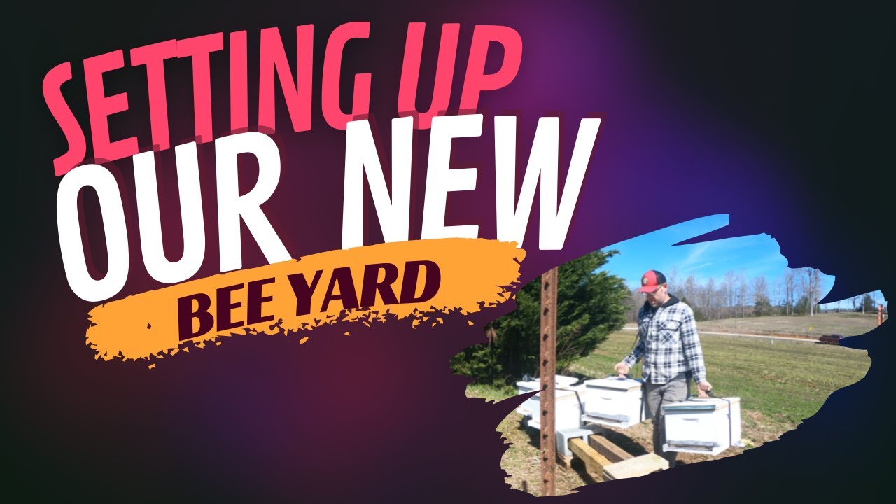 Setting Up Our New Bee Yard