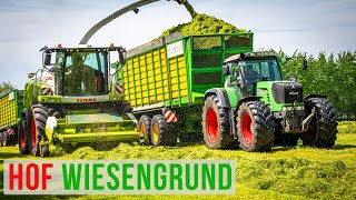 5x FENDT 900 TMS || SOUND || @hofwiesengrund8268 in Aktion beim 1. Schnitt || Claas Jaguar 970 || 4K