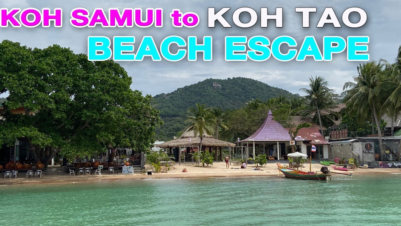 day trip to koh tao from koh samui