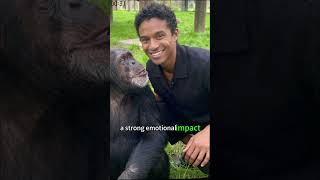 Why did the director refuse to let Michael’s real pet Bubbles appear in the  film Michael?