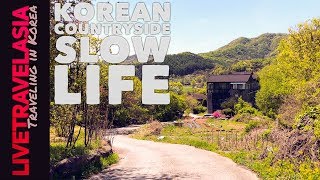 Beautiful Korean Countryside *Meet my Mother!*