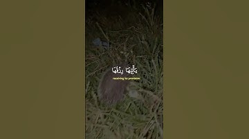 قران كريم #اكسبلور #لايك #راحة_نفسية #حالات_واتس #تيك_توك #دويتو