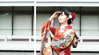 呉服屋　ほていや　成人式　帯　正絹 呉服屋 ほていや 成人式 帯 正絹