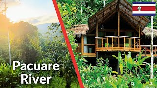 1 night at a Jungle Eco Lodge in Costa Rica | Travel Vlog