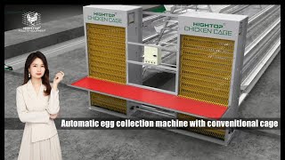 Installation of Conventional cage with automatic egg collection system