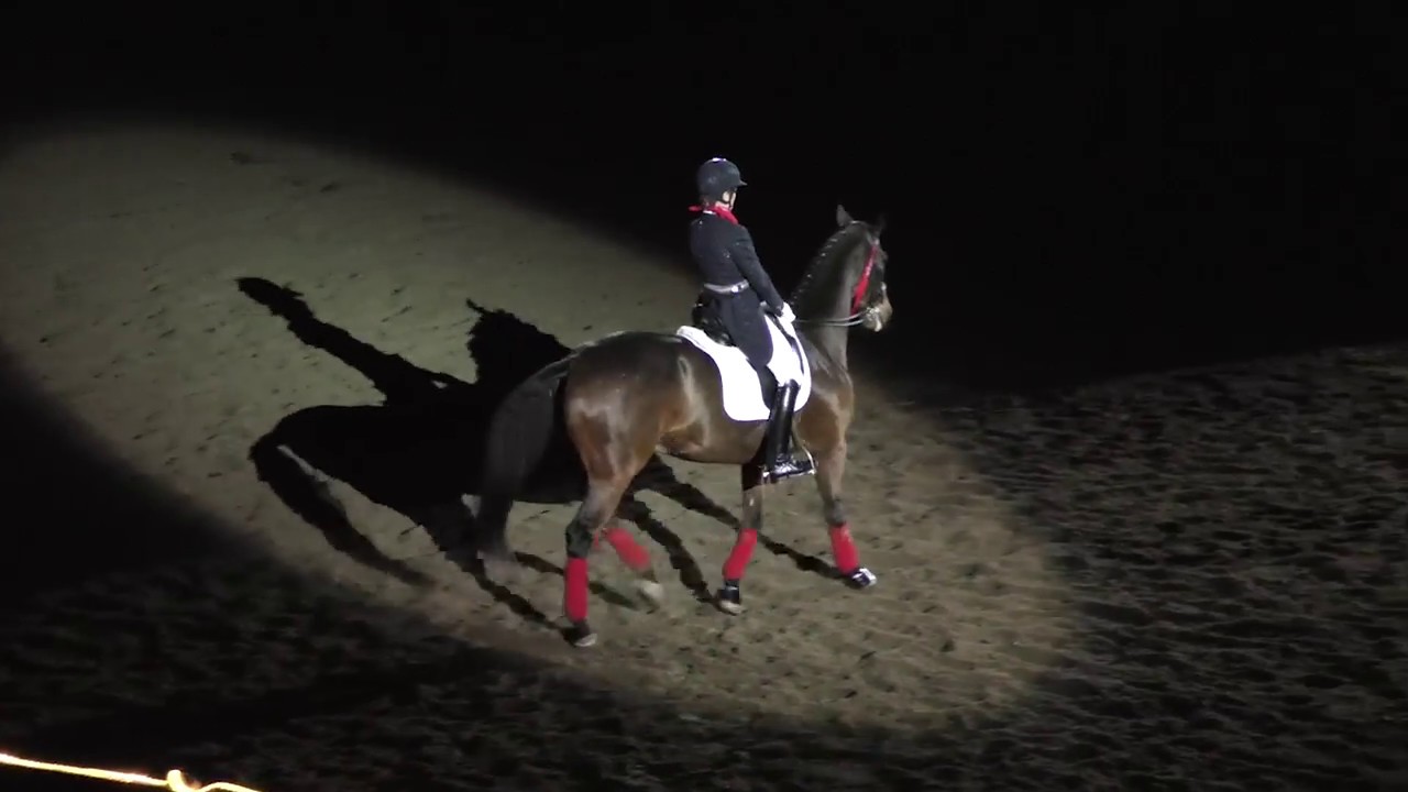 Equine Affaire 2015 Fantasia Dressage YouTube