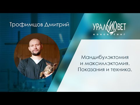 Мандибулэктомия и максиллэктомия. Показания и техника. Д. Трофимцов #убвк_хирургия #убвк_онкология