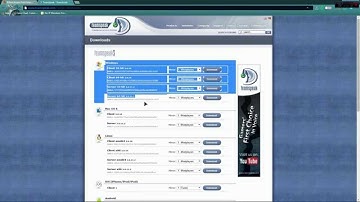 How to portforward a billion router for teamspeak with custom IP