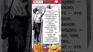 24 ноября 2025 г. #юмор #смех #приколы #прикол #funny #joke