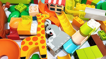 Satisfying Building Blocks Marble Run ASMR Stairs winding giraffe rabbit slide course