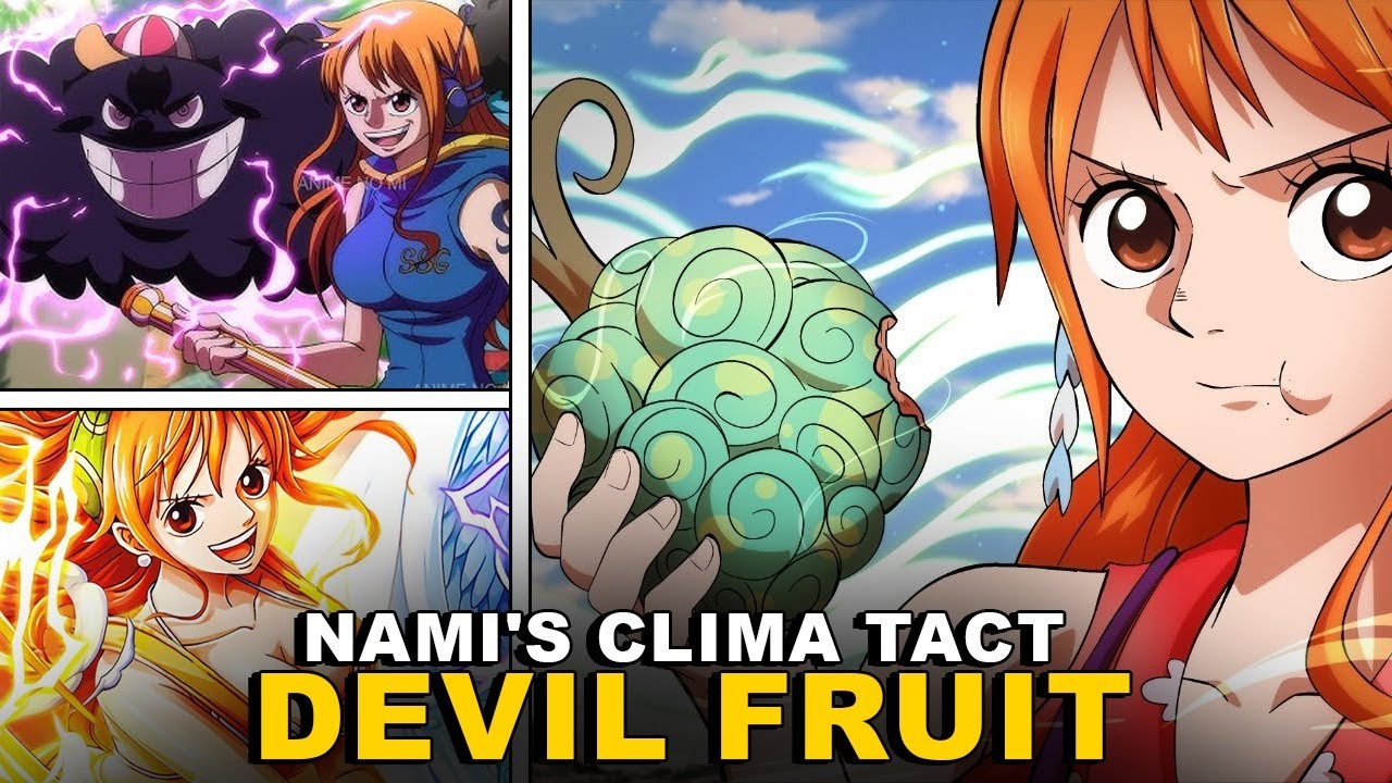 THE BEST FRUITS FOR NAMI AND HER CLIMA TACT ONE PIECE YouTube