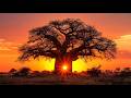 Tranquil Floating Baobab Island 🌿 Ambient Sounds for Sleep and Relaxation