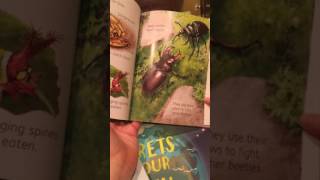 Bugs, an Usborne Young Beginners book