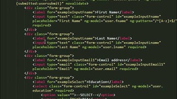 Client Side Validations Using AngularJS