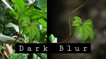 How to BLUR BACKGROUND with Snapseed in 3 steps | Snapseed Malayalam editing Tutorial New Tips 2022