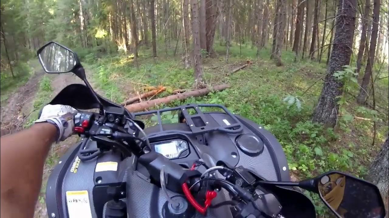 Масло стелс леопард 600. Масло стелс леопард 600