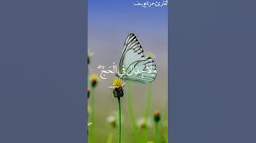 القارئ حمزة يوسف | (الحج اشهر معلومات)