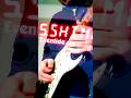 H9 ShimmerVerb / volume swells impro