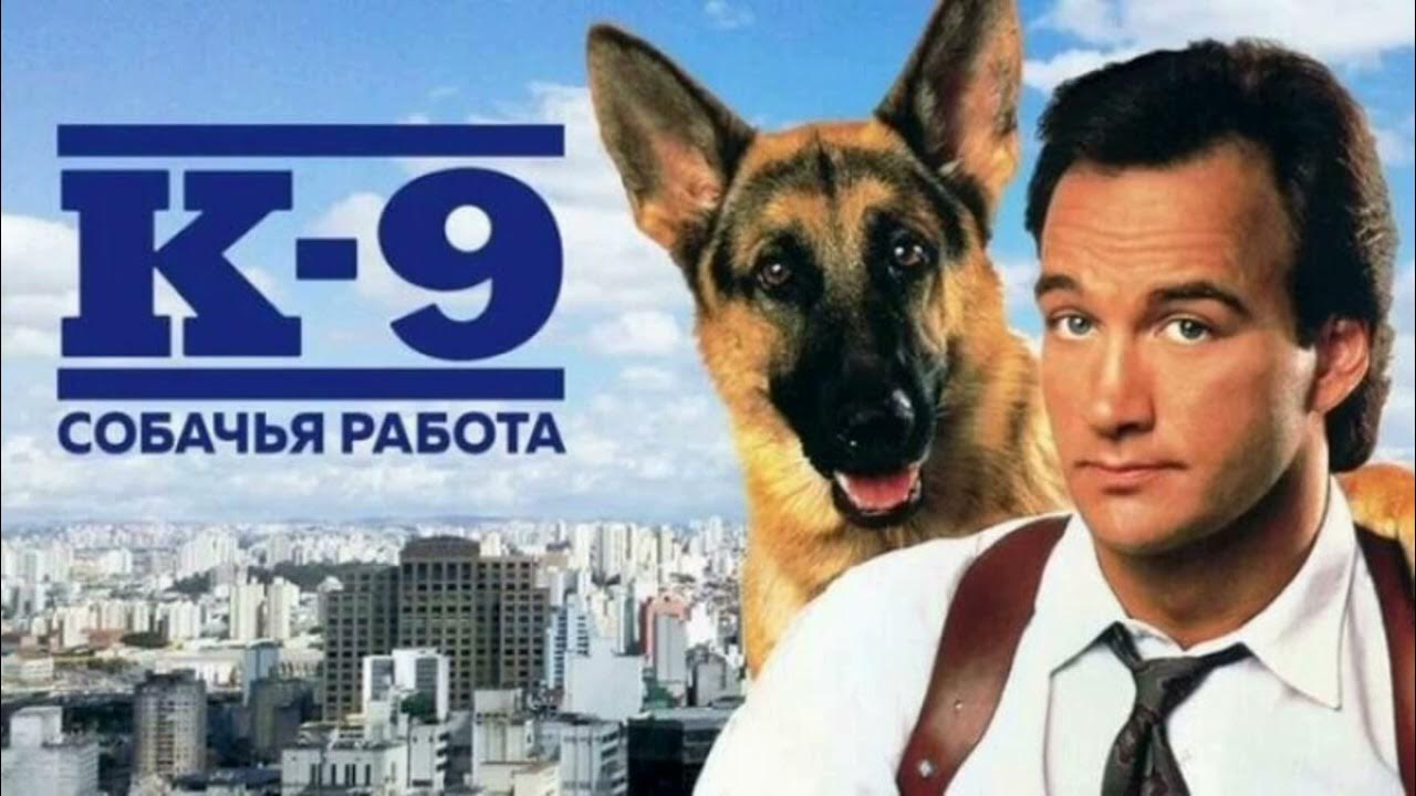 К 9 собачья работа 3. Джеймс белуши k9. к-9: собачья работа  k-9 (1989). к-9 фильм 1989. джеймс белуши фильм с собакой.
